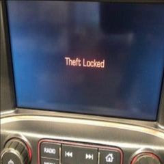 General Motors VIN Clear "Theft Unlock" alternate Interiior view